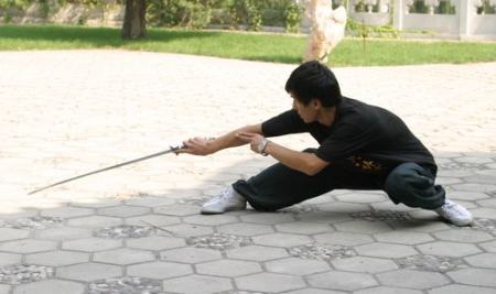 هنر رزمی باگوآژانگ