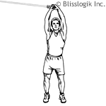 کش بدنسازی,تمرینات ورزشی با کش بدنسازی TRX,تقویت عضلات دست