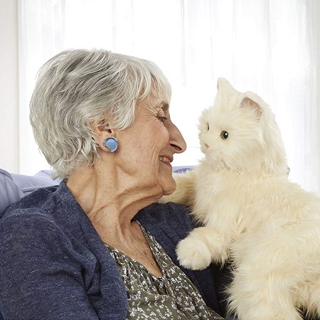 حیوان خانگی مورد علاقه افراد مسن, حيوانات خانگي بر افسردگي سالمندان, تاثير نگهداري از حيوانات خانگي بر سالمندان