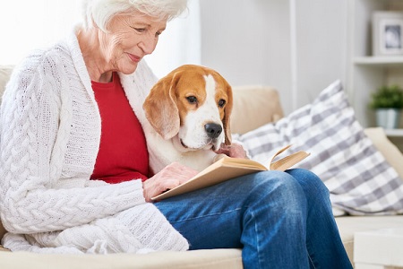 فواید حیوانات خانگی برای سالمندان, مزایای نگهداری از حیوانات خانگی برای سالمندان, بهترین حیوانات خانگی برای سالمندان