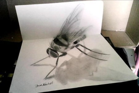 آموزش نقاشی سیاه قلم سه‌بعدی,مدل نقاشی سیاه قلم سه‌بعدی
