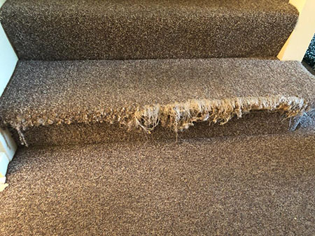چسب فرش چیست, انواع پارگی در فرش ماشینی, انواع روش های اصلاح  فرش