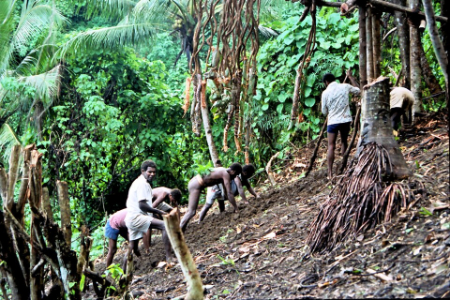 مراسم غواصی در خشکی در پنطیکاست, غواصی در خشکی وانواتو