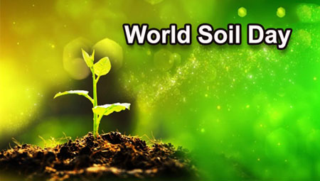 روز جهانی خاک چه روزی است, روز جهانی خاک,بزرگداشت روز جهانی خاک