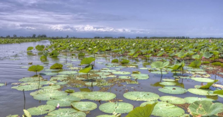 روز تالاب روز جهانی تالابها, تاریخ روز جهانی تالابها