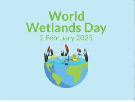 تاریخ روز جهانی تالابها روز جهانی تالابها, تاریخ روز جهانی تالابها
