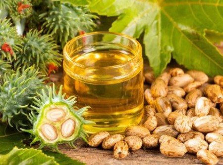 فواید روغن کرچک برای پوست صورت