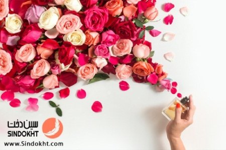خرید عطر و ادکلن تفاوت ادکلن تستر با اصلی,ادکلن تستر,عطر اوریجینال