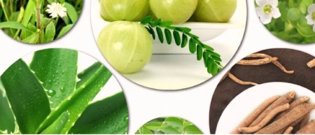 نحوه استفاده از پودر مورد برای مو