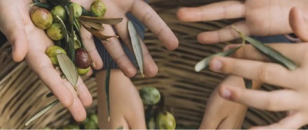 رشد ناخن با روغن زیتون