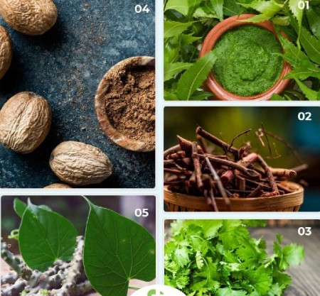 روغن‌های گیاهی مناسب برای آکنه‌های قرمز و حساس