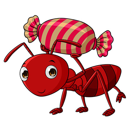 شعر درباره مورچه,شعر کودکانه درباره مورچه,ترانه کودکانه درباره مورچه