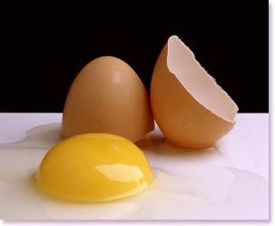 مصرف مرغ  و تخم مرغ در دوران بارداری