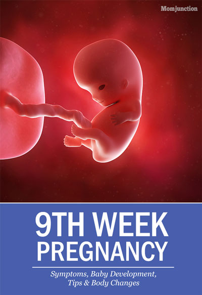 شکل جنین در هفته نهم بارداری