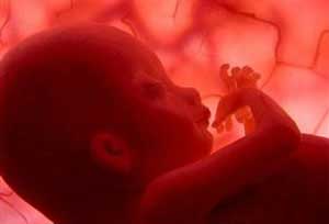 Image result for ‫سقط جنین‬‎