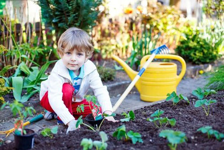 باغبانی کودک,باغبانی کودکان,تقویت مهارتهای کودک