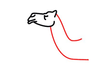 آموزش گام به گام نقاشی شتر برای کودکان