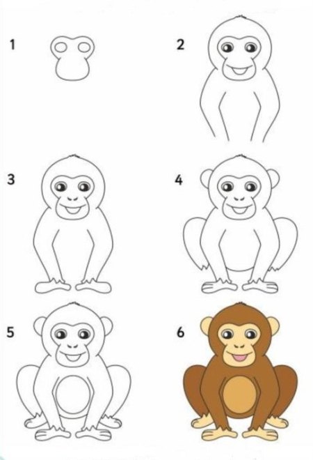 نقاشی میمون,مراحل کشیدن نقاشی میمون,آموزش نقاشی میمون