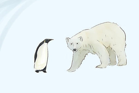 نقاشی خرس قطبی,نقاشی پنگوئن,آموزش کشیدن نقاشی پنگوئن و خرس قطبی
