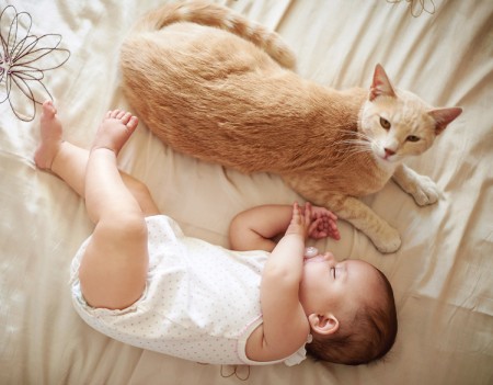 روش‌های مراقبت از حیوانات خانگی در حضور نوزادان