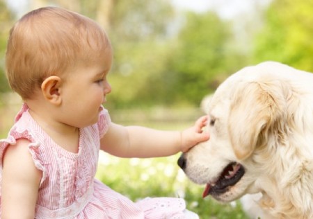 ارتباط نوزادان با حیوانات
