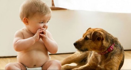 مضرات تماس کودکان با حیوانات خانگی