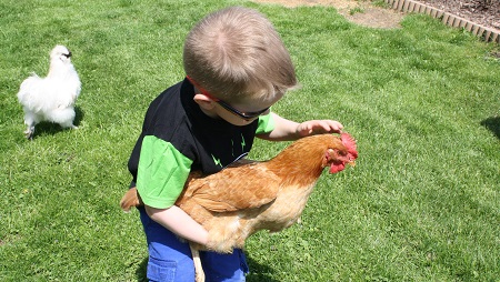 پای مرغ برای سلامت کودکان , حفظ سلامت ناخن ها از خواص پای مرغ برای کودکان , فواید خوردن پای مرغ برای کودکان