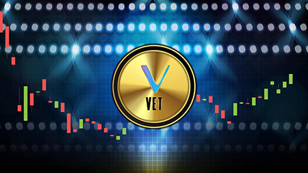  vechain ارز دیجیتال, بنیانگذاران ارز وی چین, وی چین