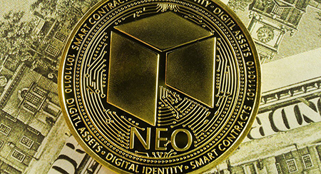 درباره ارز neo, بنیانگذاران نئو, ایمنی شبکه نئو