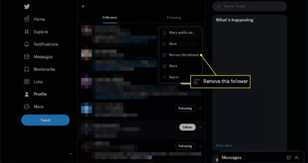 دستور «حذف این دنبالکننده» در توییتر برای وب خصوصی کردن حساب X (توییتر), تنظیمات حریم خصوصی X