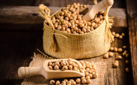 مضرات سویا برای زنان