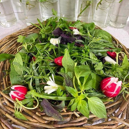 فواید سبزی خوردن