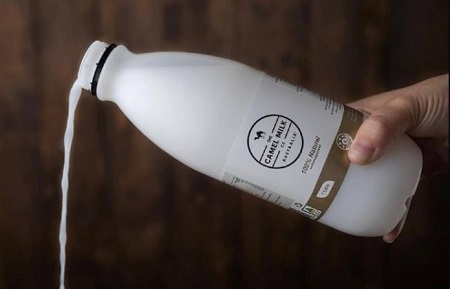  طریقه مصرف شیر شتر, طعم و رنگ شیر شتر, ارزش غذایی شیر شتر