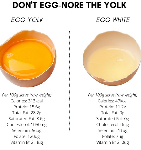 خواص زرده تخم مرغ برای بدن, ارزش غذایی زرده تخم مرغ, ویتامین های زرده تخم مرغ