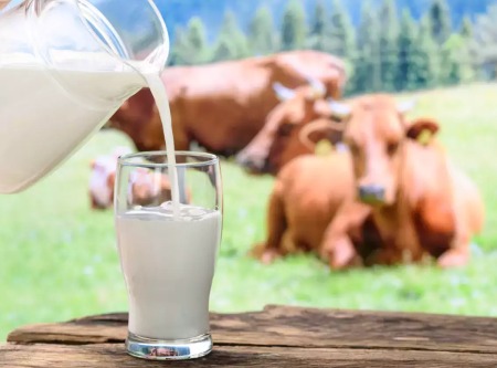 از خواص شیر چه می دانید