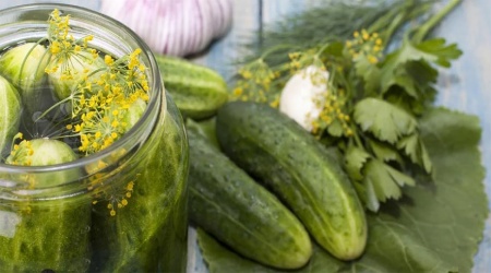 مواد لازم برای تهیه خیار شور