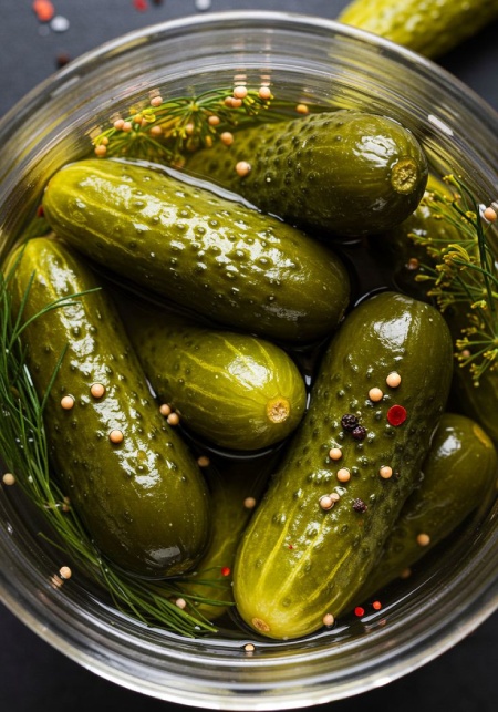 نکاتی برای تهیه خیار شور