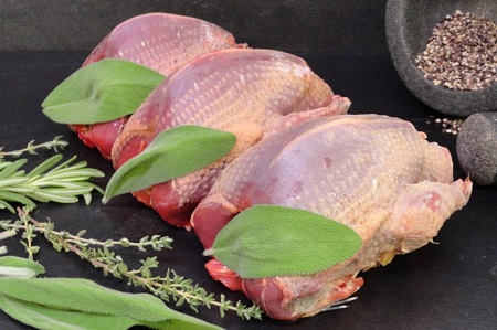 مزاج گوشت کبوتر در طب سنتی, خواص گوشت کبوتر, پخت گوشت کبوتر