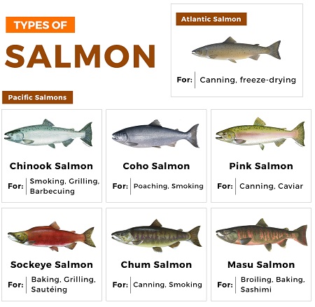 فواید مصرف ماهی, خواص ماهی سالمون برای کودکان, خواص ماهی سالمون برای قلب