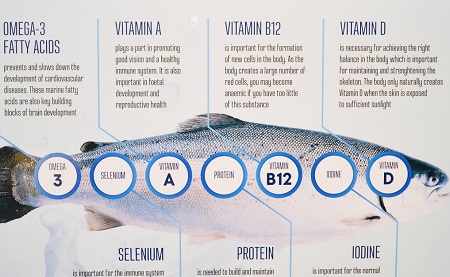  فواید ماهی قزل آلا برای انسان, خواص ماهی قزل الا در بدنسازی, کاهش وزن و ماهی قزل آلا