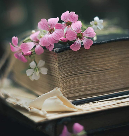 متن فلسفی کوتاه, جملات عمیق درباره زندگی