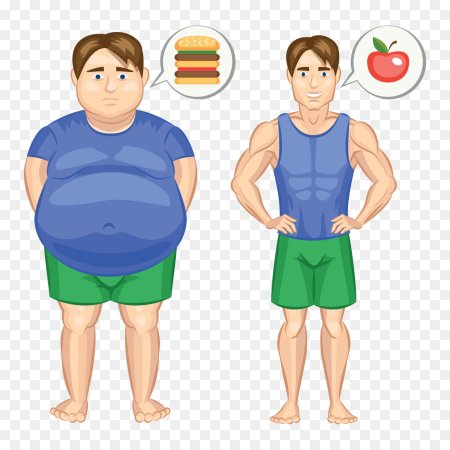 عکس های بامزه در مورد چاقی,کاریکاتور جالب درباره چاقی و لاغری ,کاریکاتورهای جالب و دیدنی در رابطه با چاقی و لاغری