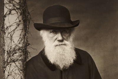 عکس چارلز داروین, سخنان چارلز داروین