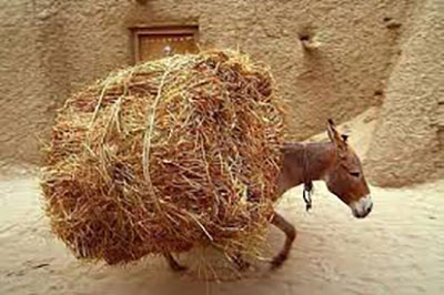 تعبیر خواب حمالی,آه و ناله,تعبیر خواب حمالی کردن