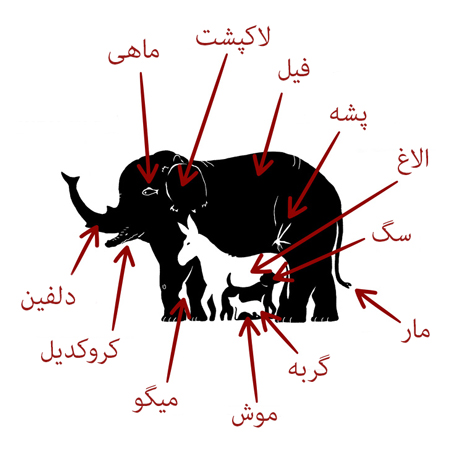  معما های جالب با جواب, معما های سخت