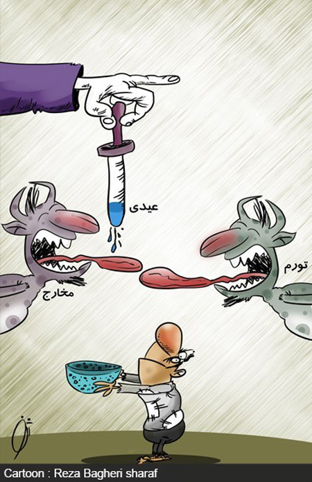 کاریکاتور گرانی گوشت , کاریکاتور خرید عید