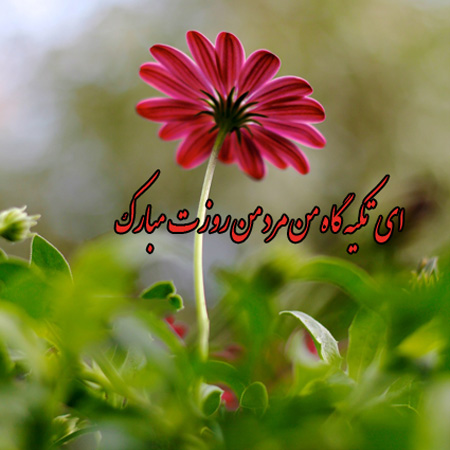 تبریک روز مرد به دوست پسر