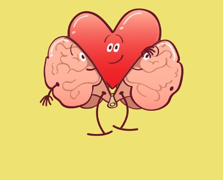 کاریکاتور مغز و قلب, کاریکاتور قلب و مغز, مغز و قلب,کاریکاتور های بسیار زیبا از قلب و مغز