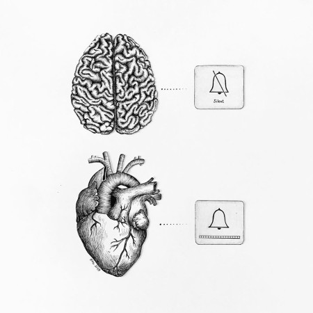 کاریکاتور مغز و قلب, کاریکاتور قلب و مغز,کاریکاتور طنز قلب و مغز