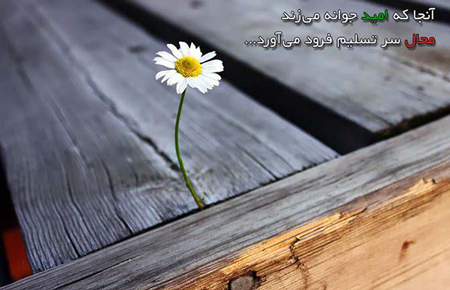 پروفایل امیدوار کننده و شاد